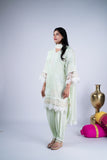 Pastel Mint Green Embroidered Tulip Style Suit Set
